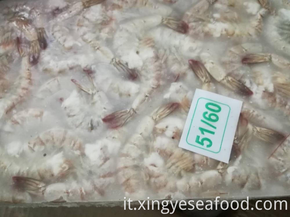 51 60 2white Shrimps Vannamei